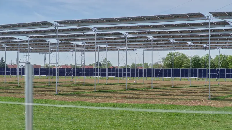 Zonnepanelen op Carport Amsterdam: Kosten & Subsidie